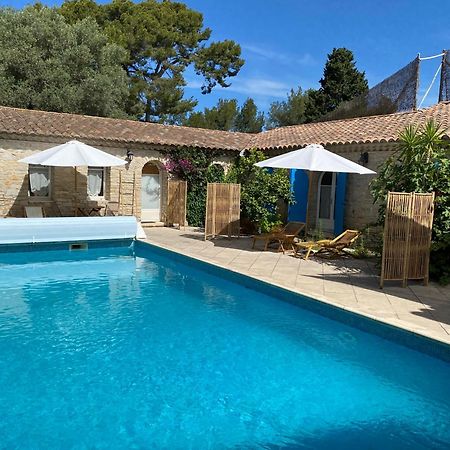 라시오타 Le Patio Aux Oiseaux B&B 외부 사진